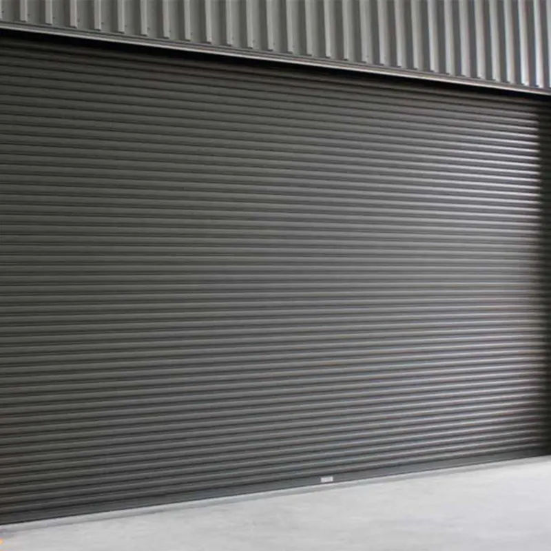 AS2047 Australia migliore qualità alluminio industriale Roll-Up porta con soluzioni Innovative