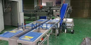Six Workers Station Apricot <strong>Pear</strong> Peach Sorting Selecting Table Conveyor - Product Image 2