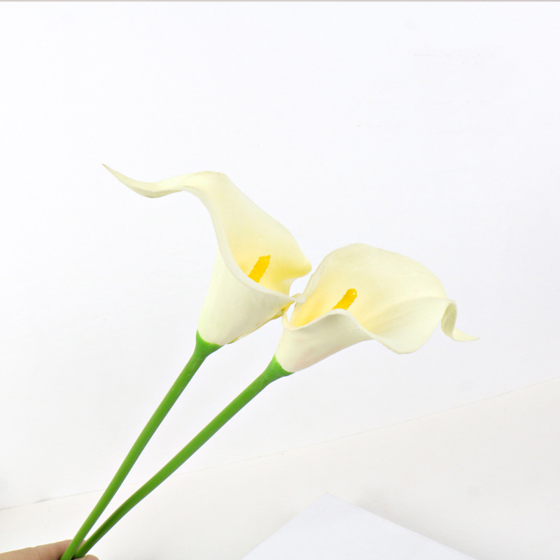 Blanco leche (núcleo amarillo)