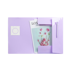 Erweiterbarer Poly Envelope <span class=keywords><strong>File</strong></span> Wallet Kunststoff-Dokumenten ordner mit elastischem Kabel verschluss aus strap azier fähigem <span class=keywords><strong>PP</strong></span>-Material