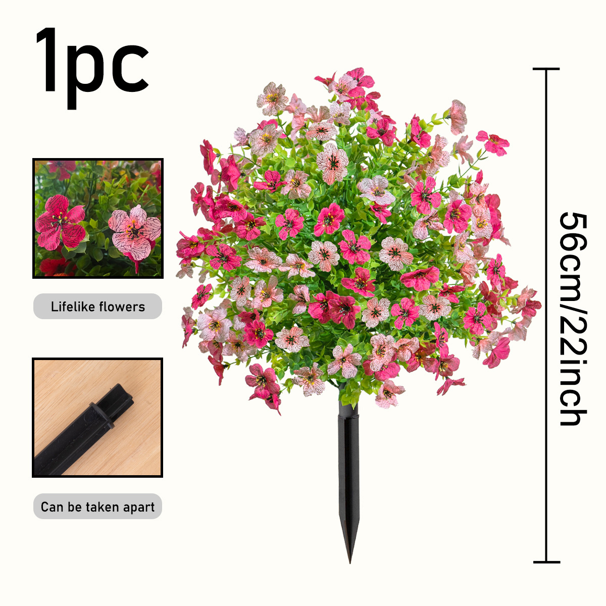 Violet Ground Bush, Pink Rose Red