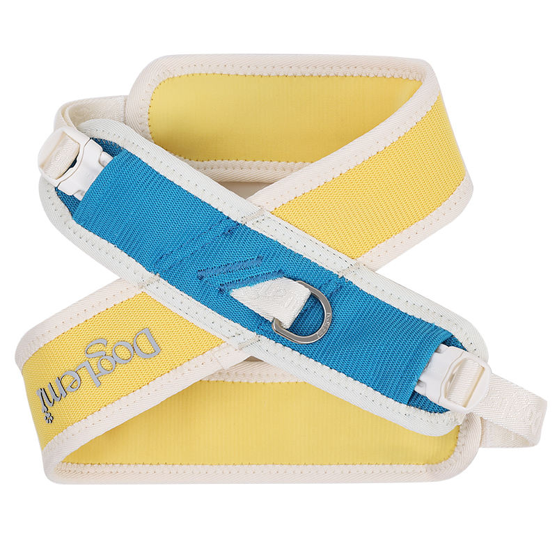 สีเหลือง