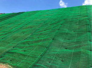 Prodotto per il controllo dell'erosione Geomat per la protezione del pendio di rinforzo in erba