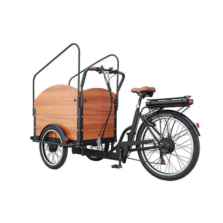 고품질 전송 페달 tricycles 3 휠 전기화물 자전거 성인 3 바퀴 자전거 전기 bicyclecheap 전기 자전거