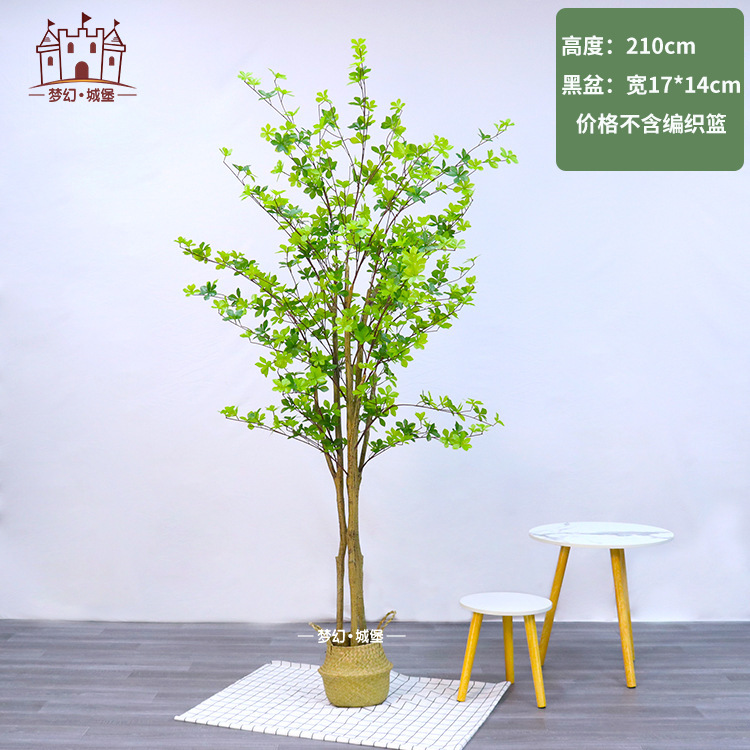 Cloche 210CM