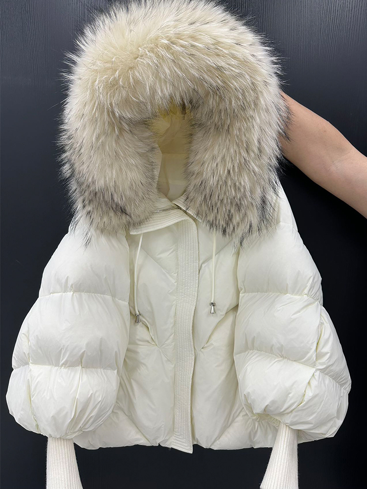 Beige Beige Raton laveur