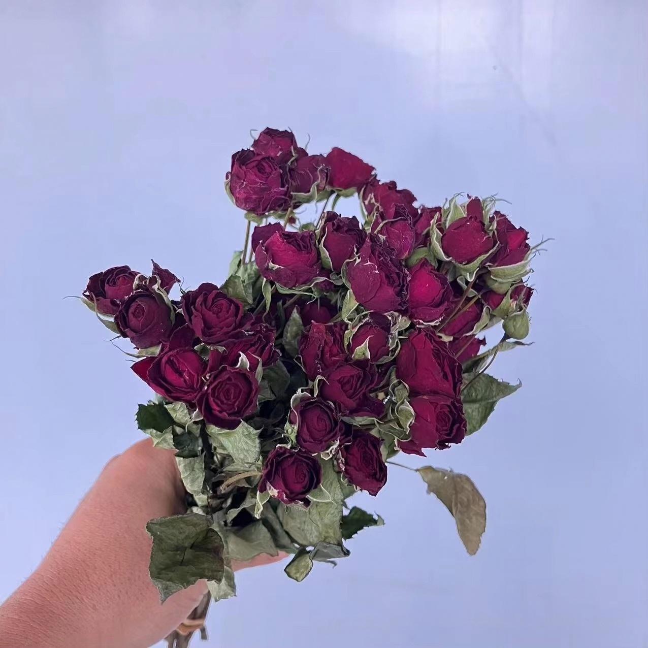 rosso intenso 1