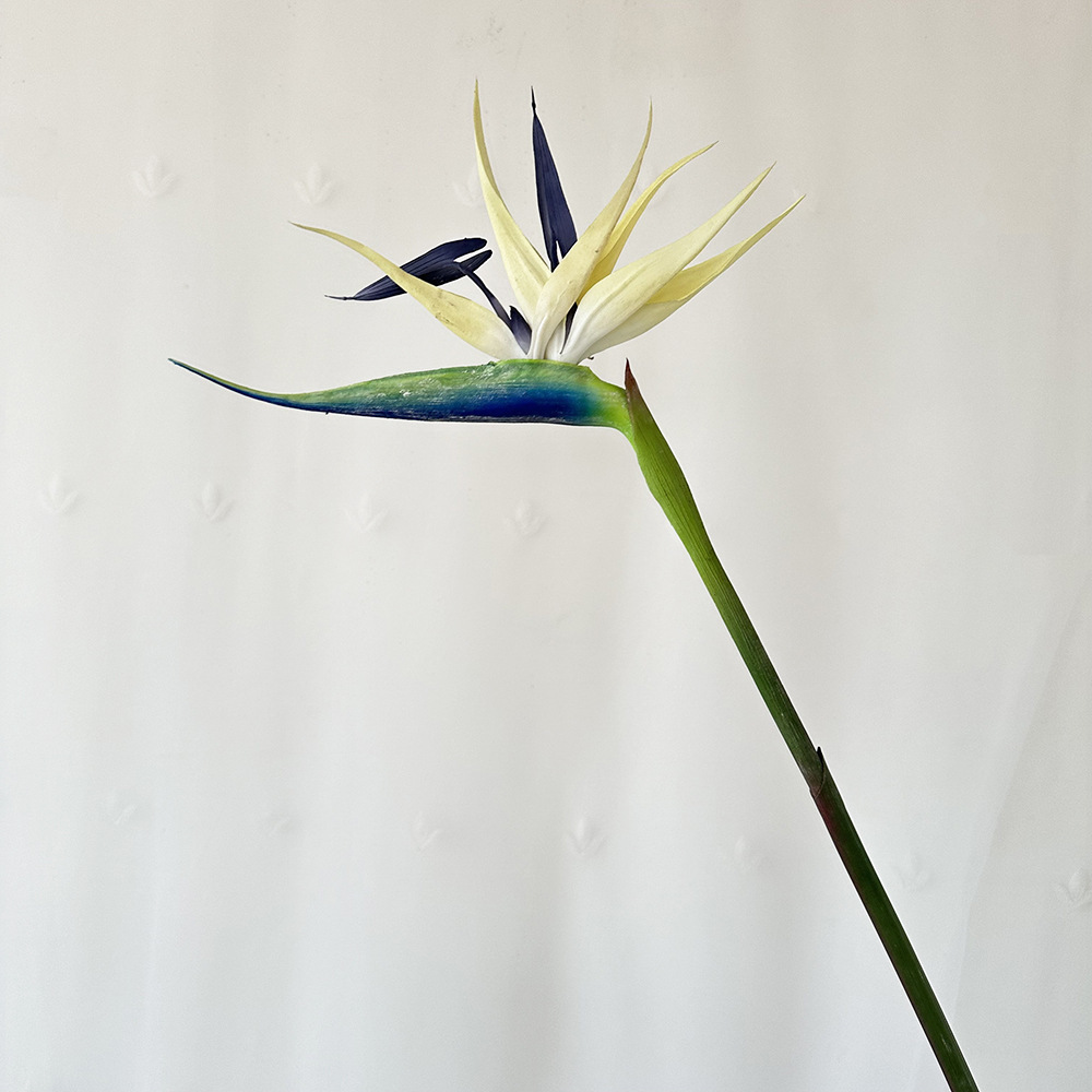 Grand bleu foncé