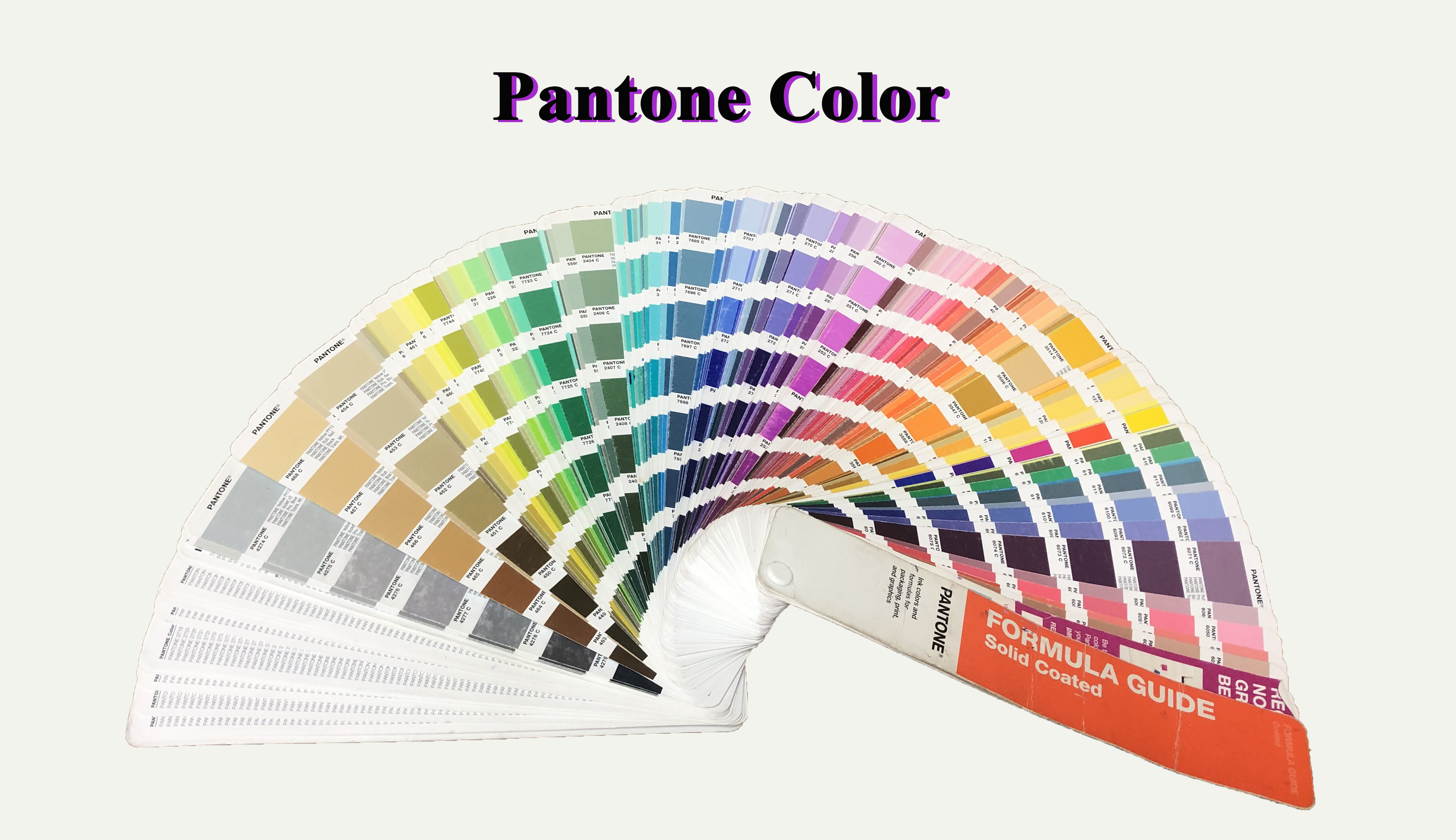 pantone color