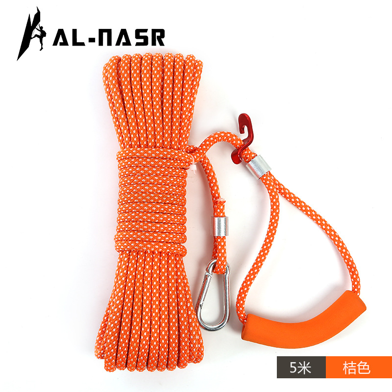Bellflower color 5 meters