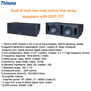 Thinuna Dual 10 pollici Professional Audio Stage Dante Active Line Array altoparlanti apparecchiature Audio/amplificatori/altoparlante con DSP - Product Image 6