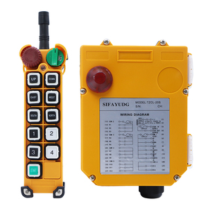 รถเครนแบบไร้สายสำหรับยกของแบบยกกระชับมือตัวรับสัญญาณหลายภาษา F24-10D ตอบสนองรวดเร็ว - Product Image 3