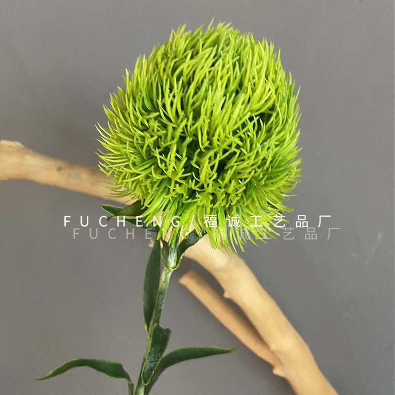 Oeillet vert