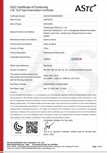Enchufe de interruptor multifunción IP55 resistente a la intemperie Universal múltiple IP55 enchufe de interruptor de pared protegido contra la intemperie 13A corriente nominal - Product Image 6