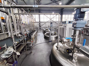 Biopharmaceutical GMP thép không gỉ cơ khí bioreactor giá BLBIO-1000SJA-2 tảo 1000L vỏ bọc bioreactor - Product Image 5