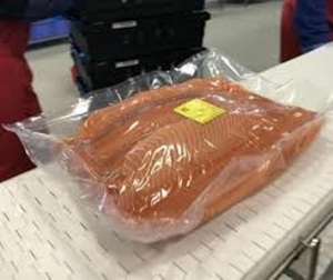 JHGチキン、アヒル、ガチョウの脚と翼冷凍包装バリア真空包装袋。