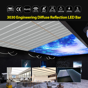 DC 24V 3030 CCT 10W/M Light Box Slim Lightbox Sign Dual White <strong>LED</strong> Strip Lens Diffuse Reflection Backlight Light Bar