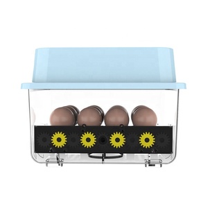 JIATAI couveuse oeuf automatique yumurta kuluçka otomatik 12 yumurta kuluçka çift güç - Product Image 5