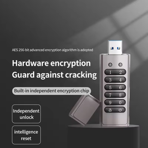 自定义徽标2024新的趋势安全数字密码锁4gb 8GB u盘USB3.0 Pendrive u盘 - Product Image 5