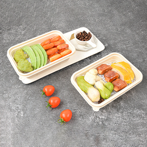 Customized Eco Friendly Biodegradable Composted Rectangle Corn <strong>Starch</strong> Lunch <strong>Box</strong> Sets Disposable Takeaway Food Container - Product Image 6
