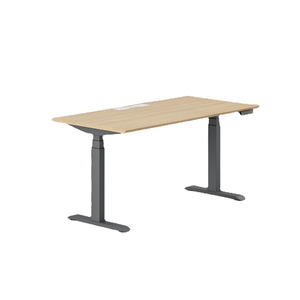Benutzer definierte Doppel motor Smart Desk höhen verstellbare Metall Büro tisch sitzen Möbel elektrische stehende Computer tisch für gewerbliche - Product Image 3