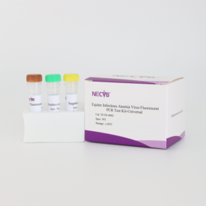 Equine Infectious <strong>Anemia</strong> Virus (EIAV) PCR Kit - Real-Time Fluorescent Detection, 50 <strong>Tests</strong> for Veterinary Labs - Product Image 4