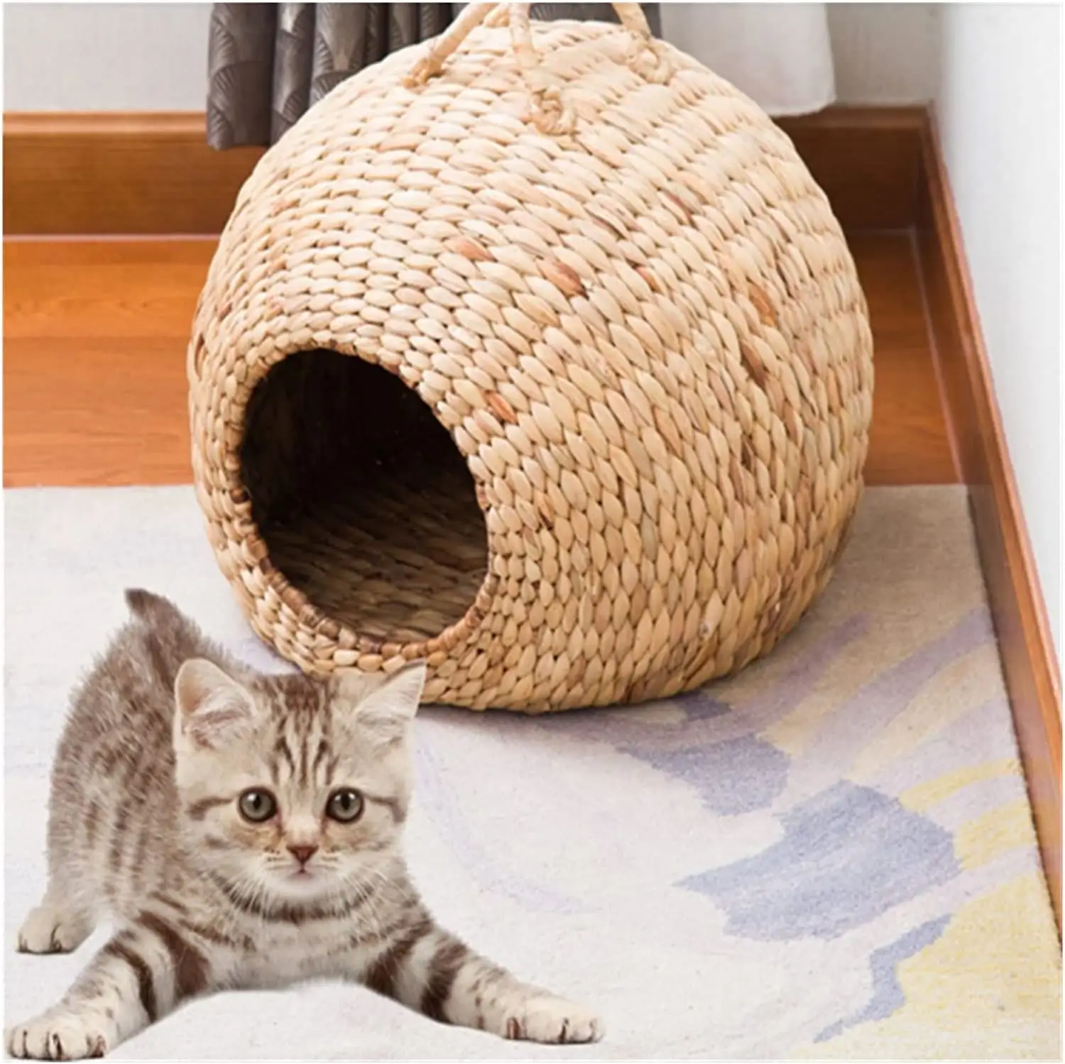 Letto per gatti Premium Cave Food Grade Eco Friendly PE Rattan letti per gatti e gattini