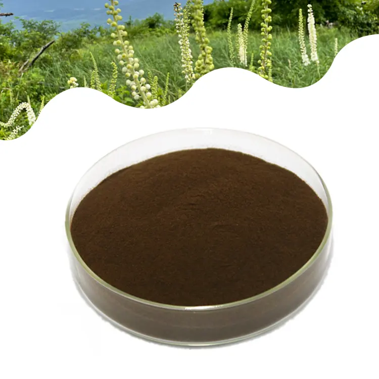 จัดหาขายส่งขายร้อนผงสารสกัดจากราก Cohosh สีดําธรรมชาติบริสุทธิ์