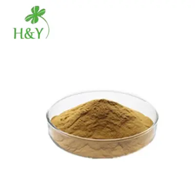 Supply Hoge Kwaliteit Zilverkaars Extract Actaea Racemosa Cimicifuga Racemosa Extract