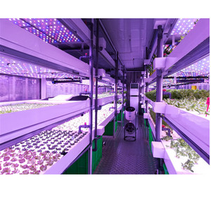 Shipping Container <strong>Type</strong> Hydroponic Barley Seed Sprouting <strong>System</strong> with Daily Capacity <strong>of</strong> 500 kg Fresh Fodder for Animal Feed - Product Image 1