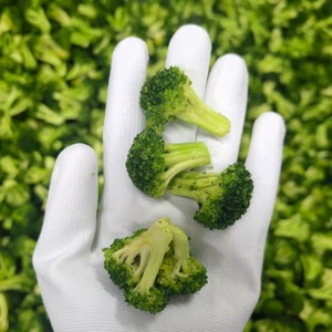 天然脱水西兰花干西兰花健康零食优质速溶食品干西兰花片