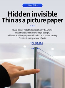 Заводской Oem пользовательский Oled дисплей прозрачный ультратонкий Oled прозрачный экран дисплея Oled прозрачный дисплей - Product Image 4