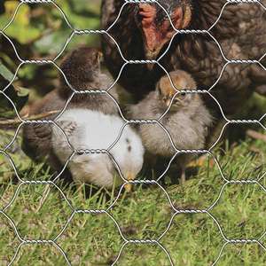Fine Mesh <strong>Hexagonal</strong> <strong>Netting</strong> for Quail Cages <strong>Small</strong> Holes Rust Resistant Prevents Baby Quail Escapes - Product Image 1