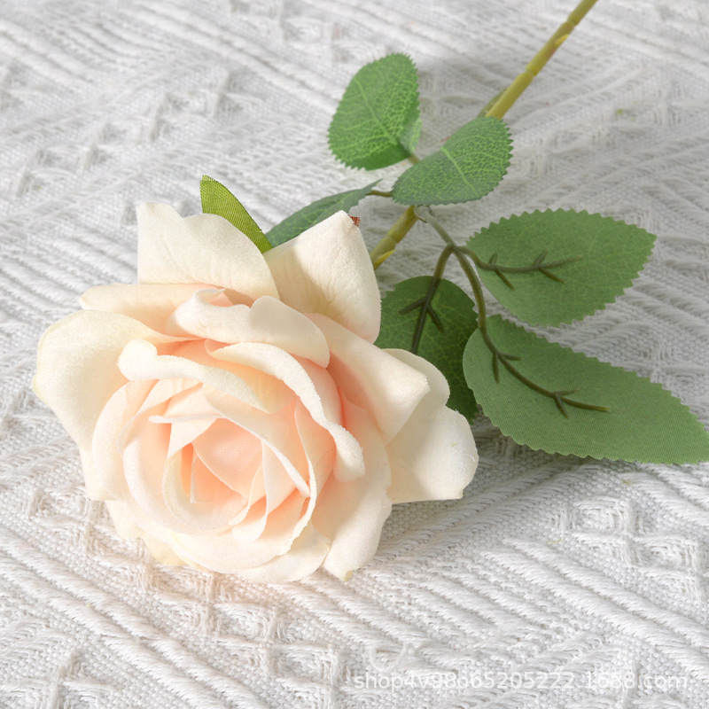 Champagne Silk cloth