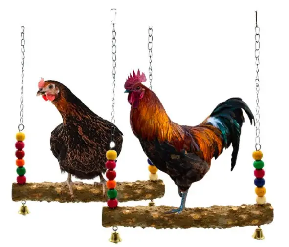 Pet tavuk salıncak renkli tavuk oyuncaklar asılı çan tavuklar kuş papağan eğitim ile doğal ahşap