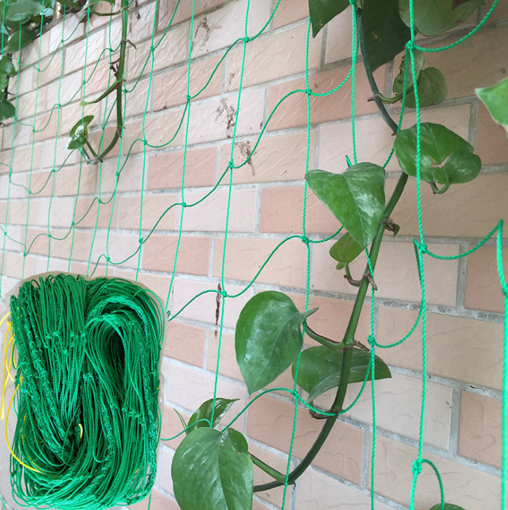 Vert