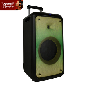Feiyang Popular Product 8 Inch Wireless bluetooth Speaker Flame Smart TWS Party Box Outdoor Trolley Portable Speaker - Product Image 4