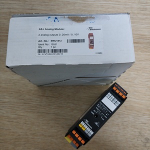 100% Original New Bihl Wiedemann BWU1412 ASi <strong>Analog</strong> Output IP20 <strong>Module</strong> with <strong>Ethernet</strong>/IP Network