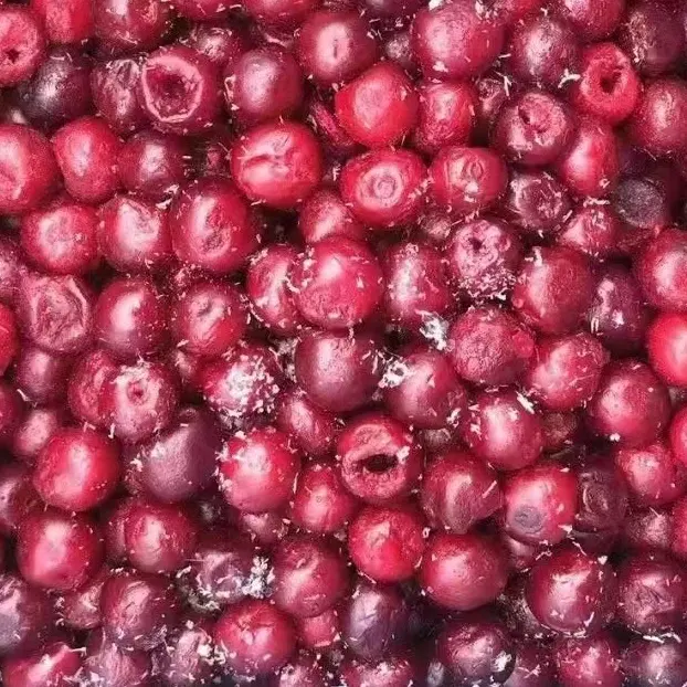 Bulk Frozen Fresh Red Cherry Fruit zu verkaufen