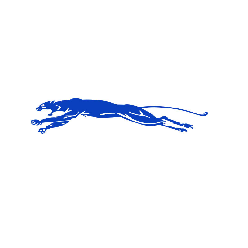 Bleu réfléchissant + gauche