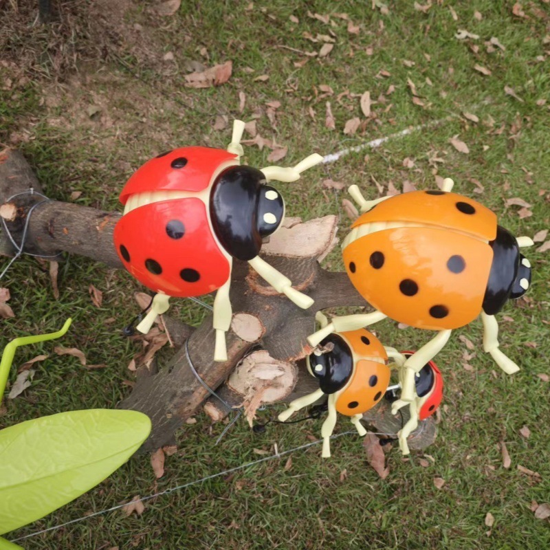 ladybug