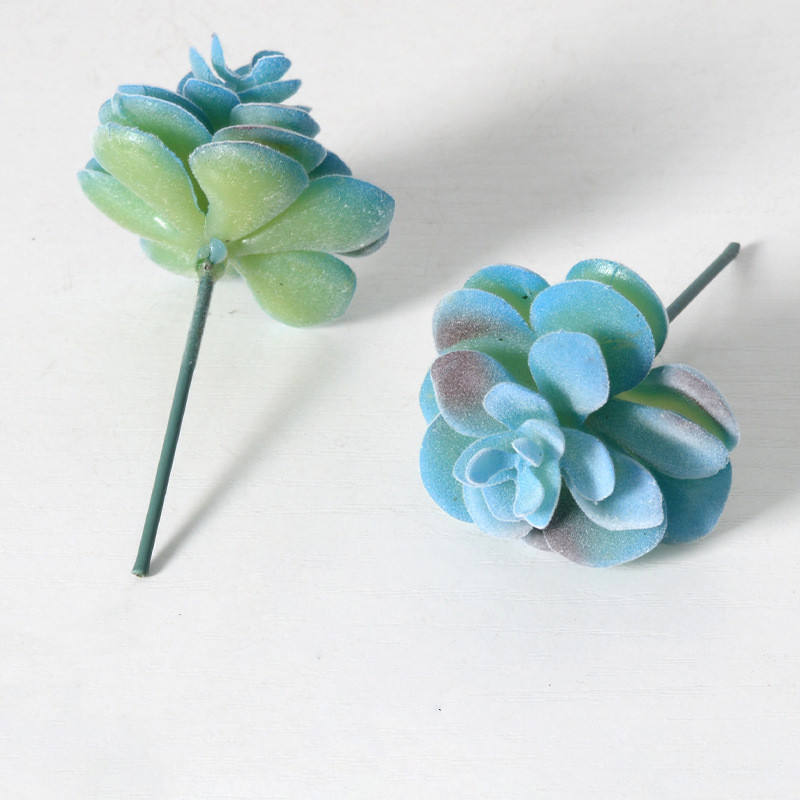 Référence : SKU-04