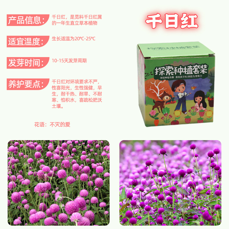 Ensemble de plantation Chisunhong