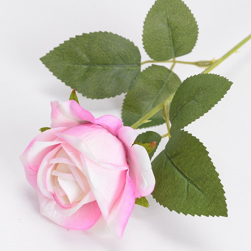 Pink white