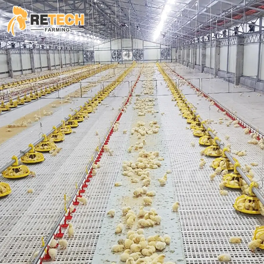 ブロイラー鶏肉製品用の全自動給餌ラインシステムパンフィーダーニップルドリンカー家禽農業機器