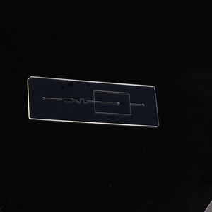 Custom Injection Molding Fluidic Core Life Science Acrylic Parts Machining Medical Mold Microfluidic Chip for <strong>Gene</strong> Detection - Product Image 3