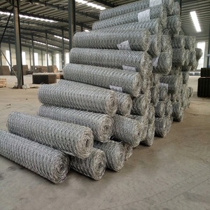 Steinschlag netz rollen Gabion Mesh Roll Protection Mesh Sechseckiges Stahldraht Mesh Gabion Woven Mesh Gabion Roll/Cages/Box - Product Image 6