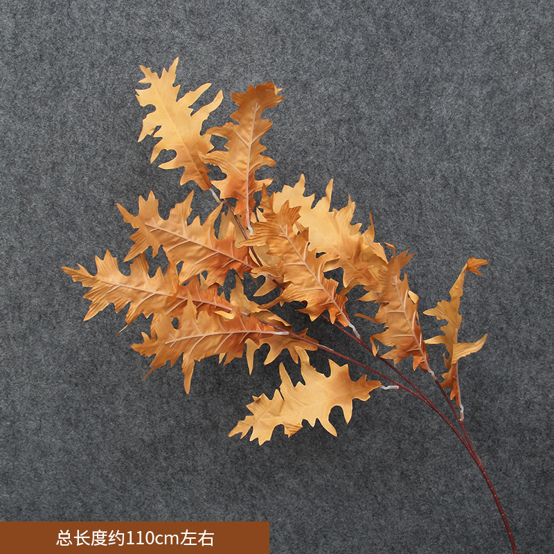 Feuille de corail