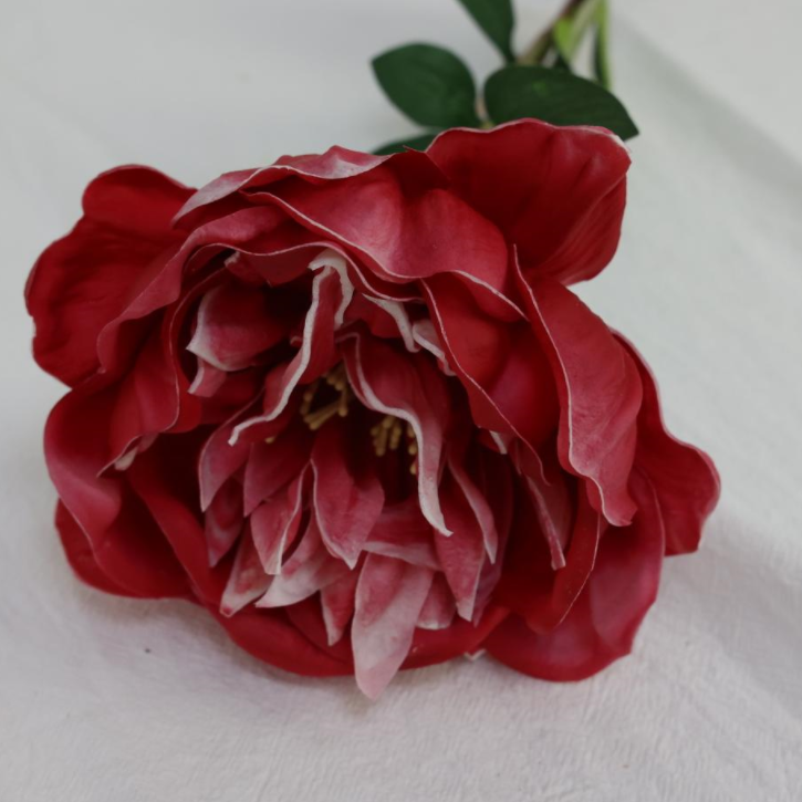 Rosso