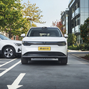 <strong>2025</strong> <strong>Extreme</strong> Krypton 7X Rear Drive Intelligent Driving Edition Pure Electric Range of 605km - Product Image 4